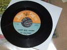 THE FALLING PEBBLES LAUDY MISS CLAUDY/VIRGINIA WOLF 201 ALLEY CAT Nm
