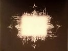TOOL -  AENIMA - 2 LP SET VINYL RECORD unofficial release.