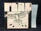 FLAP PSYCH FOLK ROCK JAPAN ORIG private LP POKORA 6* rare psychedelic acid folk