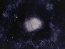 Swans-My Father Will Guide Me Up A Rope To The Sky (UK IMPORT) VINYL NEW