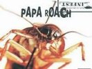 PAPA ROACH: INFEST (LP vinyl *BRAND NEW*.)