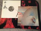 Amorphous Androgynous: Tales Of Ephidrina LP & Liquid Insects EP.