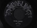 TABS: Never Forget / Rock And Roll Holiday 45 (clean ) rare Vocal Groups