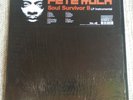 LPx2  Pete Rock Soul Survivor II Instrumental Hip Hop Near Mint