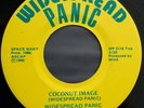 Widespread Panic 45 RPM - Coconut Image / Monkey Image - 1986 original single