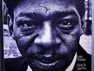 LITTLE WALTER HATE TO SEE YOU GO RARE ORIG '67 CHESS MONO LP w/INSERT 1A/1A MINT