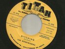 ROCKABILLY SURF INSTRO- BOOKWORMS -(w ray stanley)  DITCHING  -HEAR -1961 TITAN