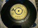 The Turtles You Know What I Mean / Rugs of Woods and Flowers 1967 London Demo NM