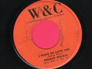 DELROY WILSON (rare W&C Reggae 45) I Want To Love You/Once Upon a Time HEAR