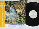T.REX MY PEOPLE WERE FAIR & HAD SKY IN THEIE HAIR SMS SP20-5051 Japan OBI LP