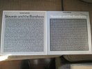 Both Siouxsie and the Banshees Peel Sessions Strange Fruit 12