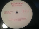 Stevie Ray Vaughan Pulsebeat Vinyl King Biscuit Time Radio Show 2 separate shows
