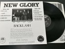 New Glory Backlash LP oi  skinhead ror arresting officers ydl