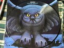 RUSH FLY BY NIGHT IMPORT  PICTURE DISC  VERY RARE ‘