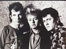 Stray Cats The Toronto Strut (The Classic Canadian Broadcast) 2 X LP VINYL Let T
