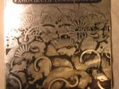 CRANIUM'S Amon Duul II LEMINGMANIA orig Uk U/A FOIL Lp NM KRAUTROCK PROG