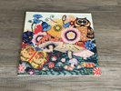 SILVER APPLES: THE GARDEN LP VINYL 2X LP PSYCHEDELIC GARAGE ELECTRONIC