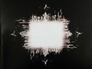 TOOL 2LP VINYL - AENIMA