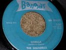PRIVATE 1964 WI Garage Punk 45  THE SHANDELLS 