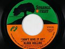 70s Soul 45 - Blood Hollins - Don't Give It Up - Strange Fruit - VG++ mp3