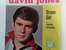 DAVID JONES MONKEES PICTURE SLEEVE + promo 45 DREAM GIRL PARADISE EX