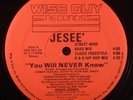 Jesee ?– You Will Never Know 12