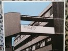 The Slits - I Heard It Through The Grapevine R.S.D Ltd Edition 10