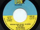 Rare Soul 45- We The People- Whatcha Done For Me, I'm Gonna Do For You- Lion 164