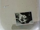 Fleetwood Mac Tusk 2 LP 1979 Complete Shrink Vinyl NM/VG+ 2HS 3350