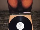 BIG JOE WILLIAMS Don’t Your Plums Look Mellow Hanging On Your Tree LP PROMO