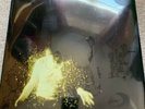 Wolf Alice My Love Is Cool Gold Vinyl 2 LP With Signed Card