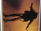 The Last Shadow Puppets - Everything You’ve Come To Expect Vinyl