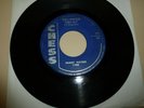 BLUES 45 RPM RECORD - MUDDY WATERS - CHESS 1704