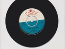 DUKE/ REGGAE IN THE FIELDS  -  AUGUSTUS PABLO  (71 REGGAE INSTRUMENTAL 7