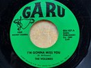 SOUL GROUP 45:  VOLUMES I’m Gonna Miss You/I’ve Never Been So Much In Love GARU