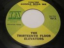 THIRTEENTH FLOOR ELEVATORS 