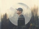 JOACHIM, Freddie - Beyond The Sea Of Trees - Vinyl (2xLP)