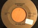 NC GARAGE 45  THE PLAYTHINGS  You Were Gone / Musty Melly  SHERWOOD  RARE HEAR