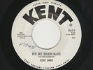 '58 TwinSpin Rockers JESSE JAMES Red Hot Rockin Blues/South's Gonna Rise M- HEAR