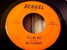 The Playboys - 1966 New York GARAGE ROCK GROUP - It's No Use - Bengel 122765
