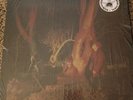 Echo & The Bunnymen Crocodiles RSD Red Vinyl 180 LP 2013 VG+ Record Store Day
