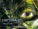 Hold Your Colour - Vinyl Pendulum LP048714