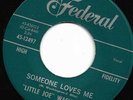 Rare Soul - Little Joe Washington - Someone Loves Me / She's Mine - Federal (EX)