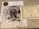 The Cult Limited Edition Vinyl Every Man And Woman Is A Star 7 Of 100