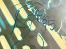 David Bowie signed Stage LP Sleeve RCA - BIG 1995 Autograph during Outside Tour