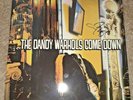 The Dandy Warhols Come Down... CLEAR Vinyl Super Rare 2LP Record Signed Tim Kerr