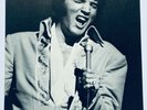 ELVIS PRESLEY - LARGE PHOTO CARD AS SOLD AT THE SHOWS.