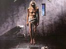 Megadeth–Countdown To Extinction Vinyl LP 1992 1st Press Capitol Records