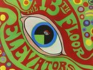 The 13th Floor Elevators - Psychedelic Sounds Of (Mono and Stereo) Vinyl LP NEW