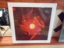 Rasputin's Stash Hidden Stash LP NEW vinyl [Funk Soul]